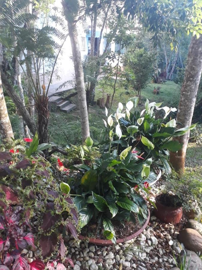 Chacara Da Promessa De Deus Villa Icatuacu Bagian luar foto