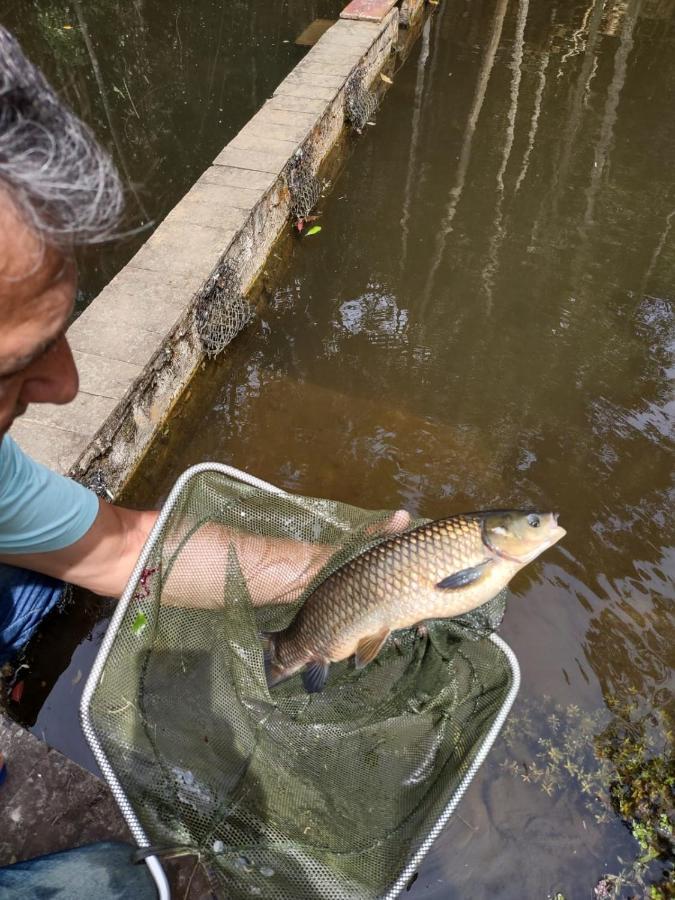 Chacara Da Promessa De Deus Villa Icatuacu Bagian luar foto