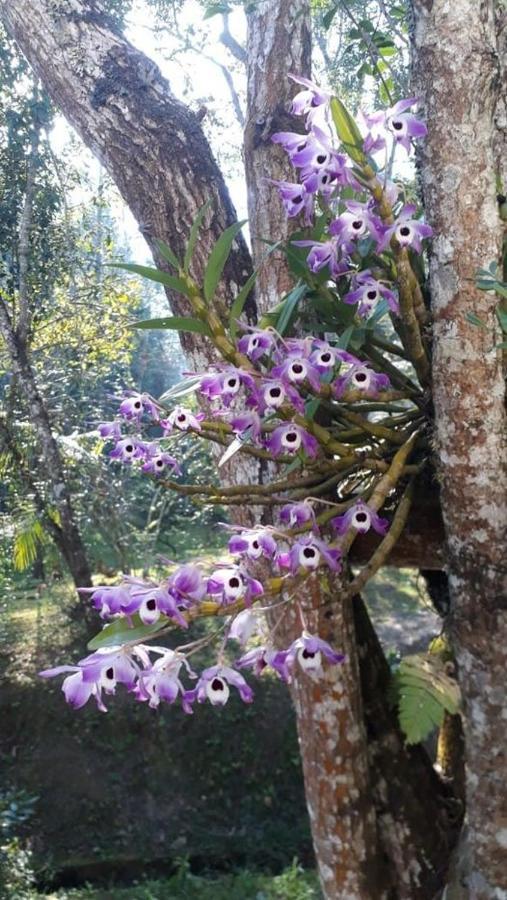 Chacara Da Promessa De Deus Villa Icatuacu Bagian luar foto